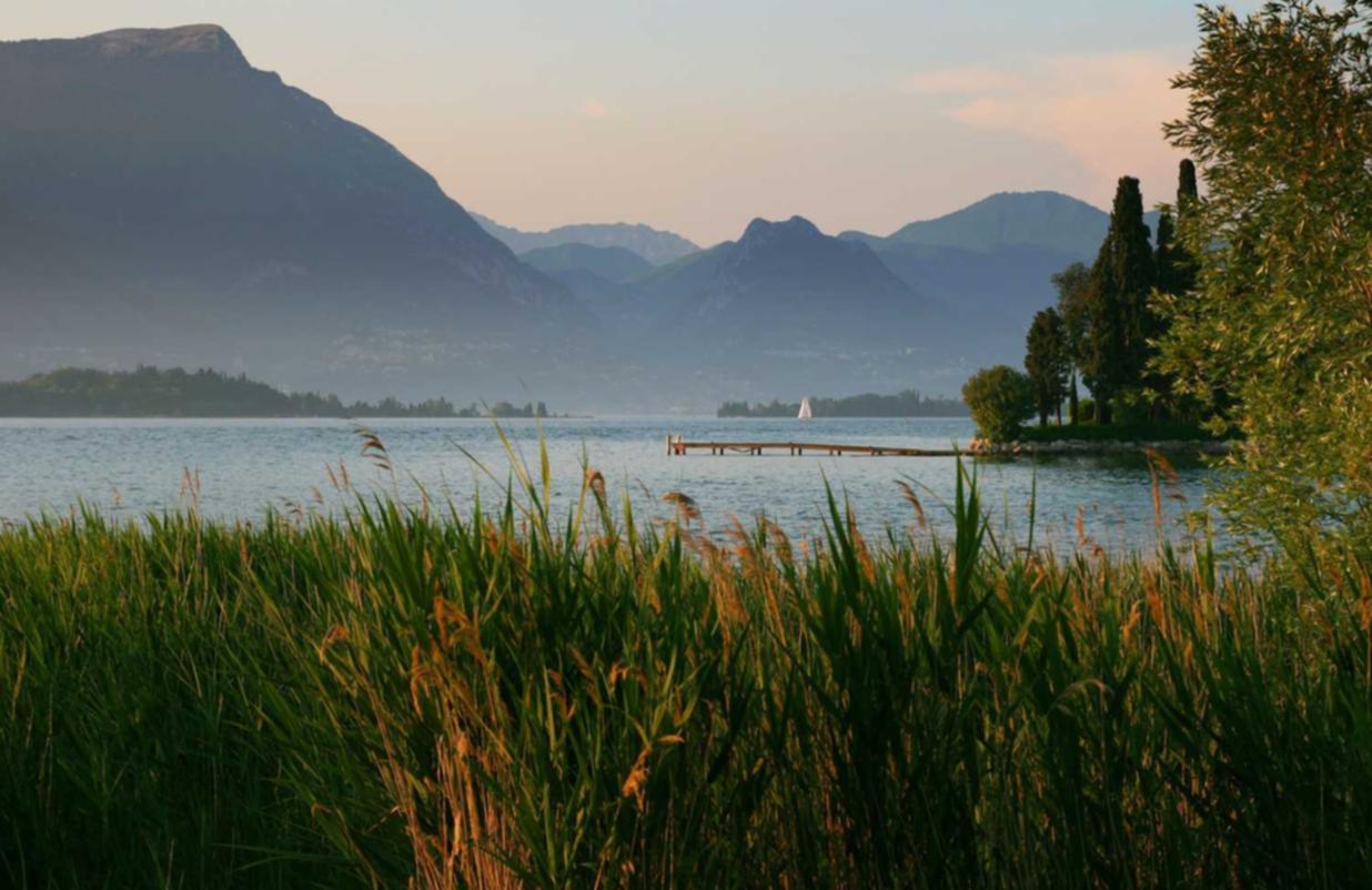 如何遏制技术支持的发展?