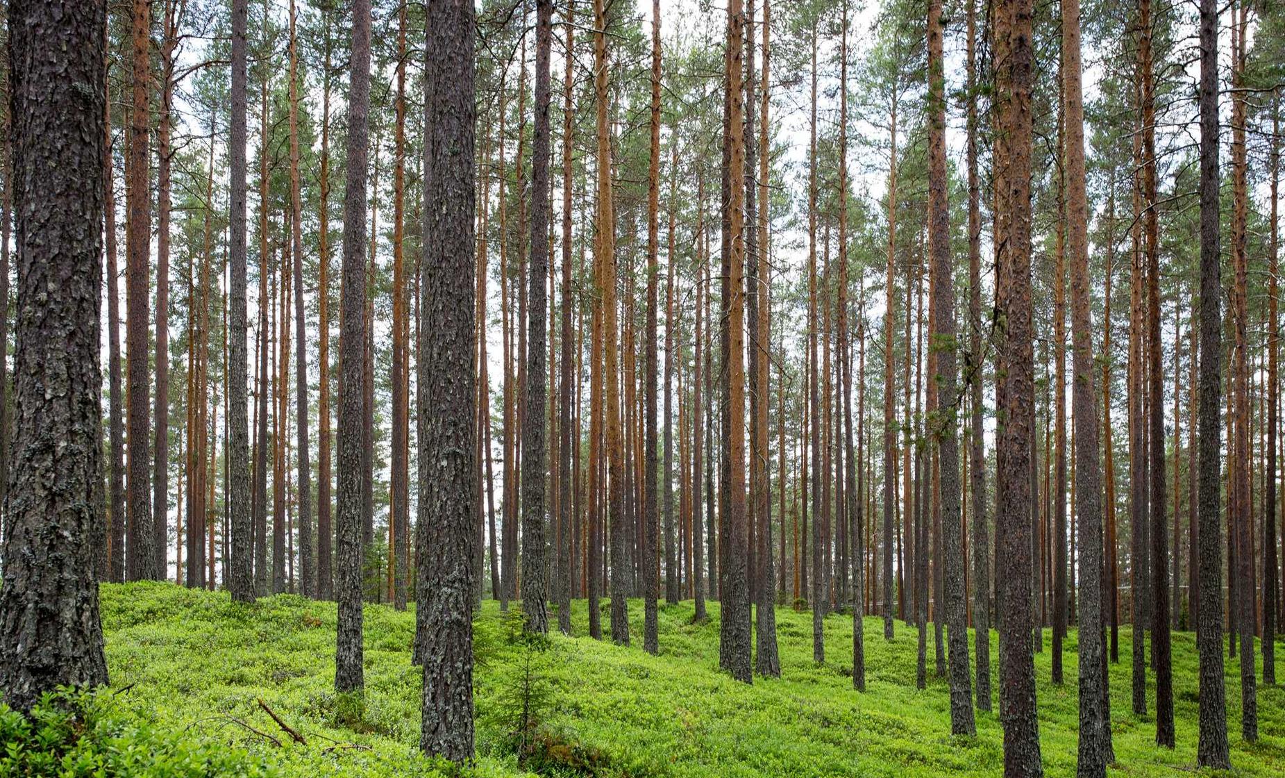 V粉卡实名账号:证券开户哪个平台好点