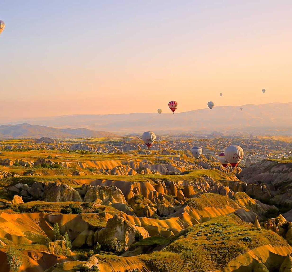 通过短信技术帮助您打造定制化服务
