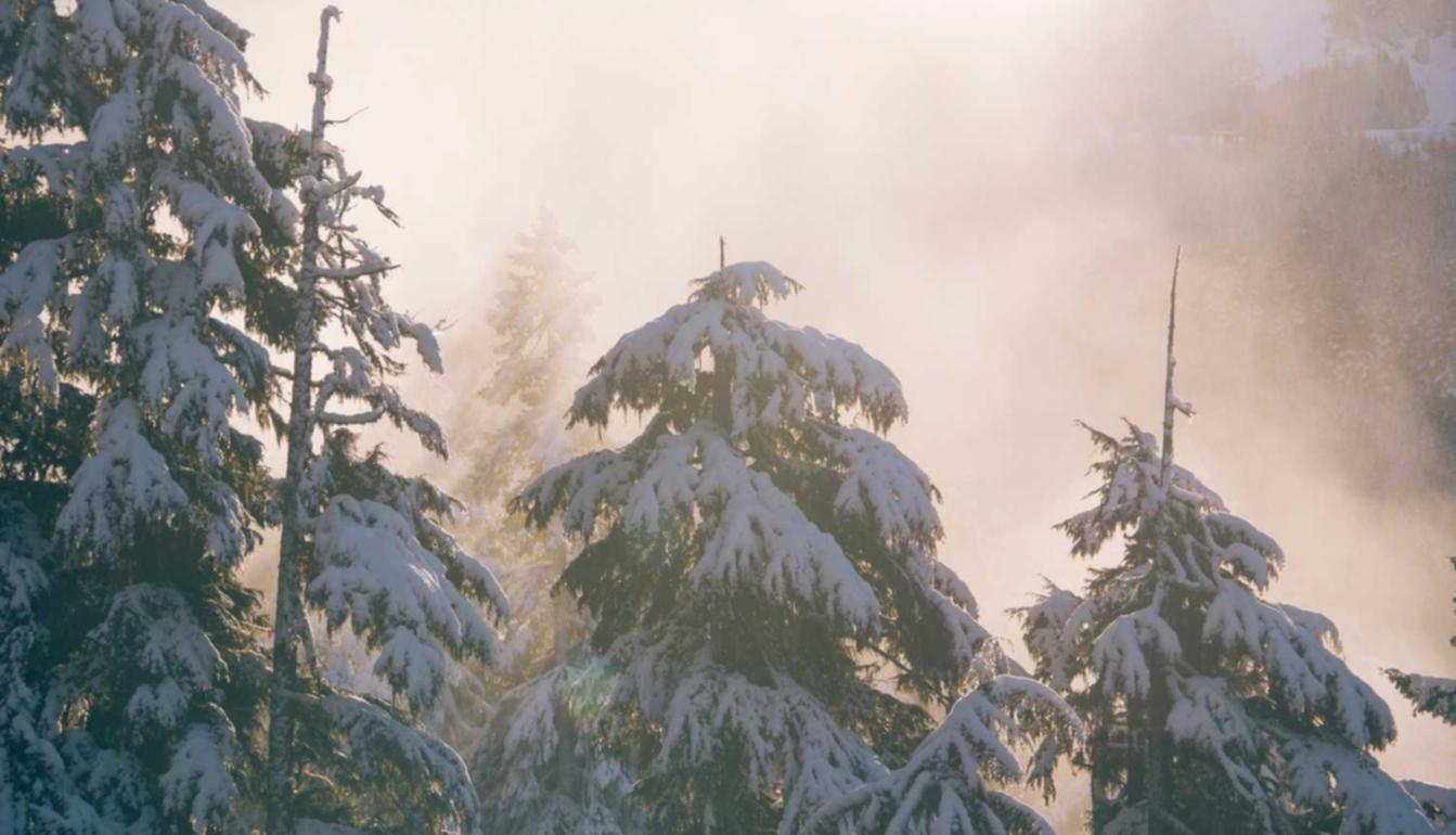 海航通信实名账号:长城雪茄购买平台