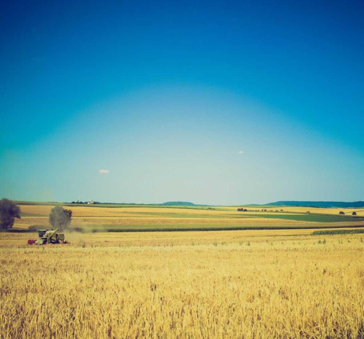 支付宝认证资料:天游平台开户送