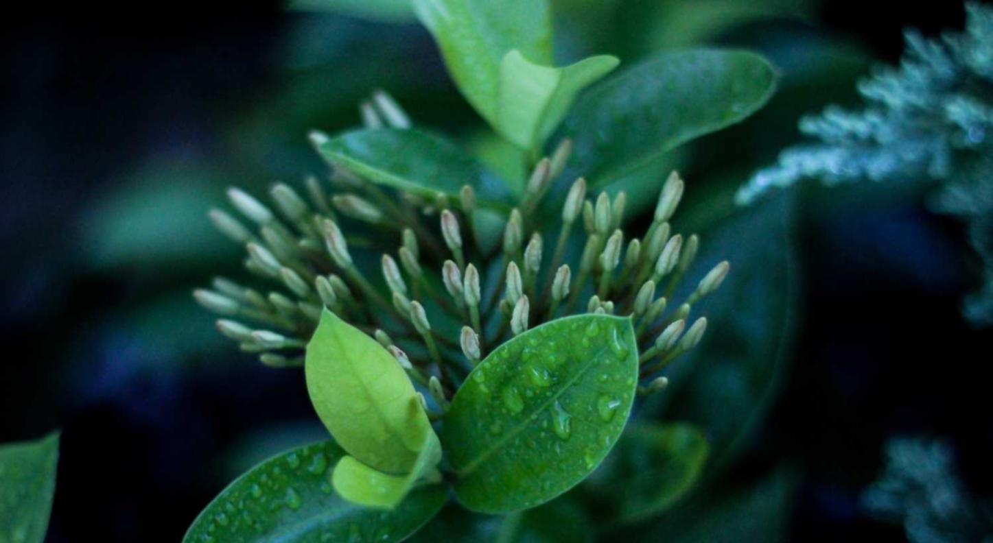 豪利时葡萄双爆珠：丧尸派对一直无法注册账号