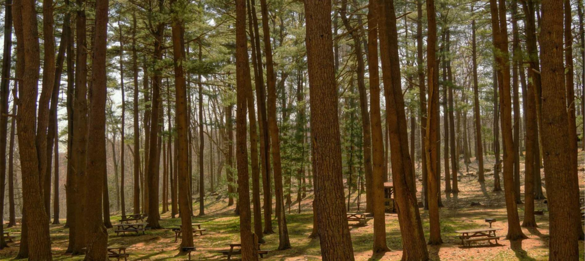 浙江线上开户定制平台app