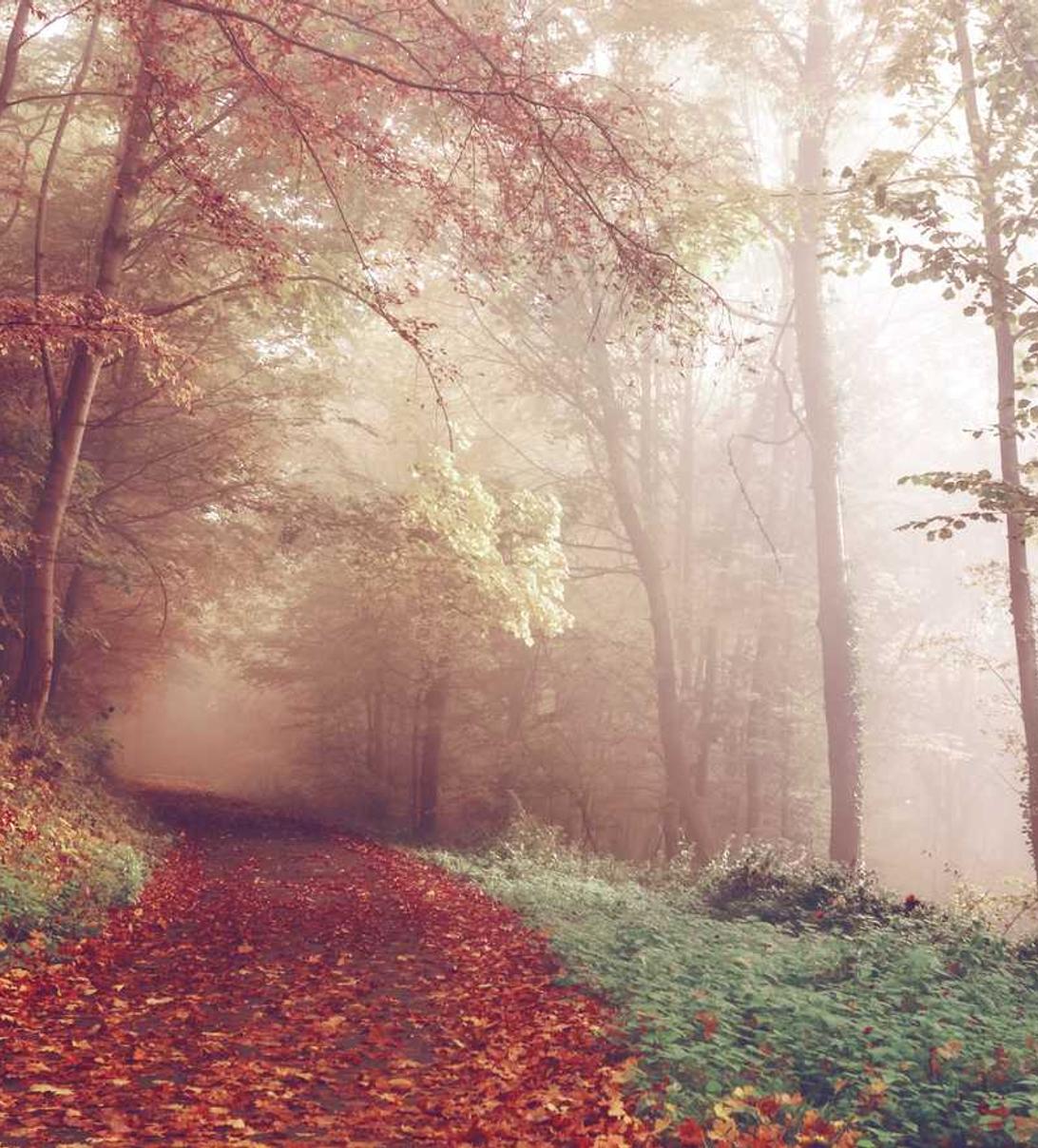 新宝娱乐，注册|推荐购买游戏平台