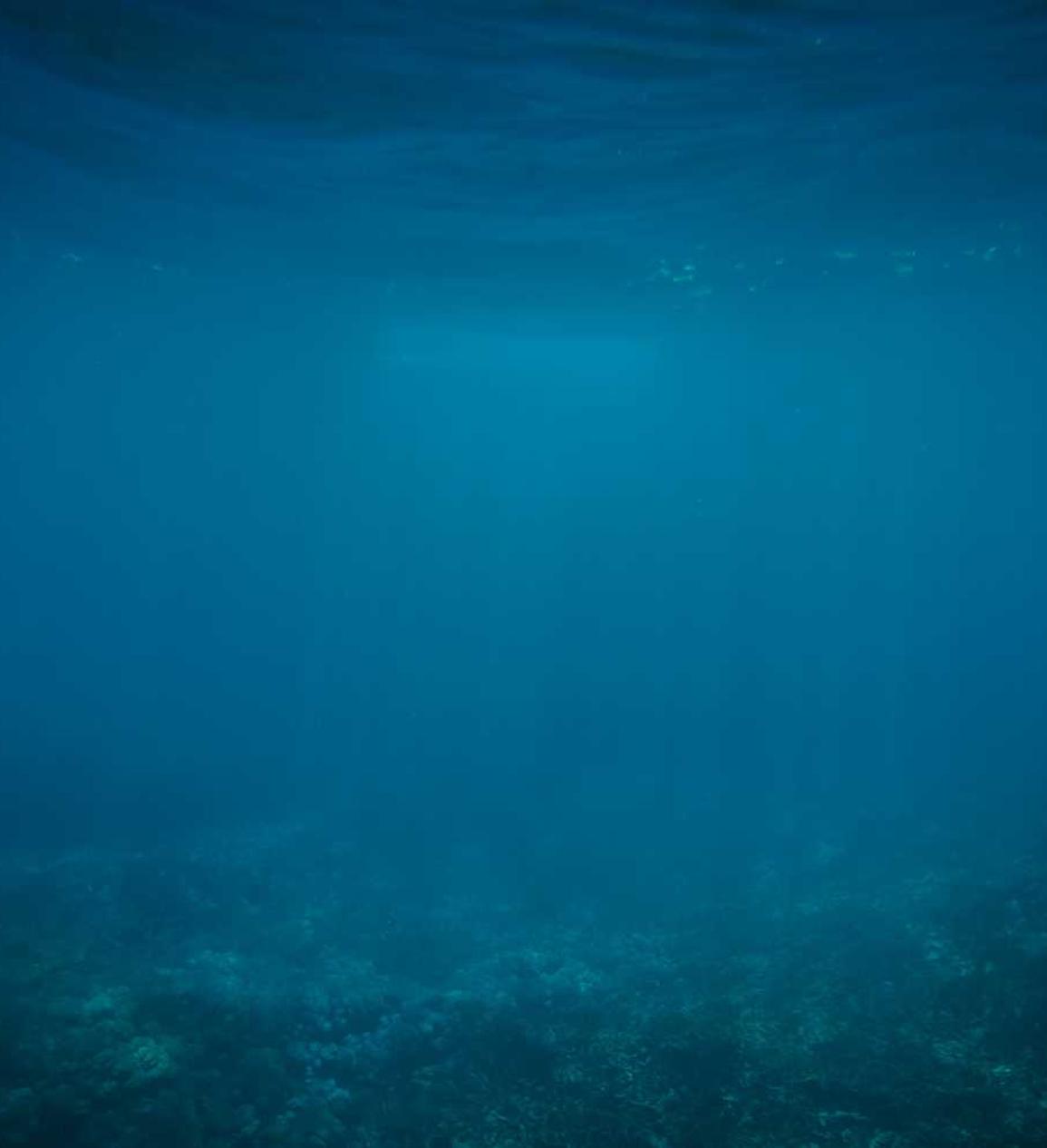 DDOS在线攻击平台|黑客的未来:黑客技术在未来的应用展望