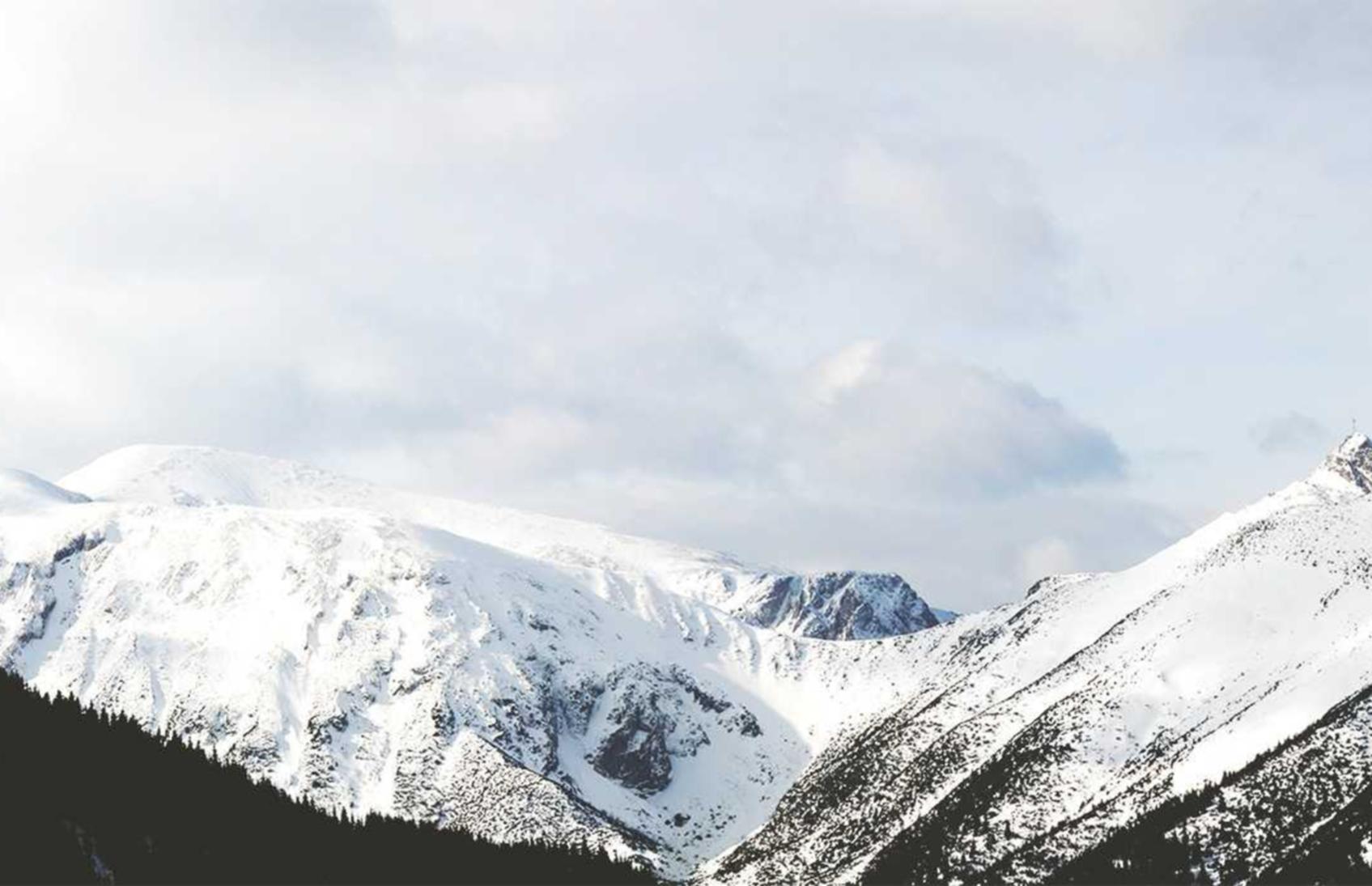 御宅伴侣游戏详情下载教程app