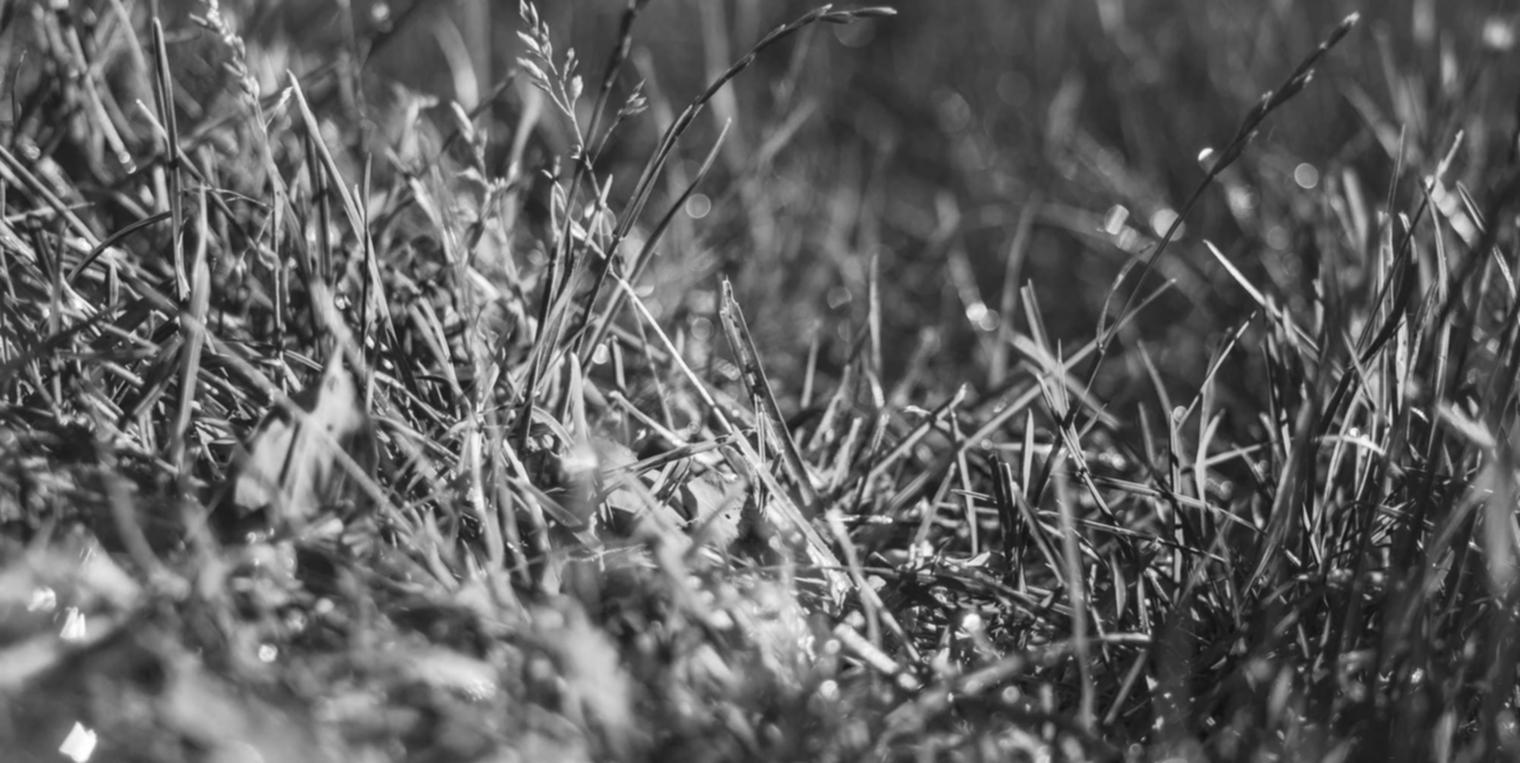 电销电话手机卡：石碣代理集群注册公司费用