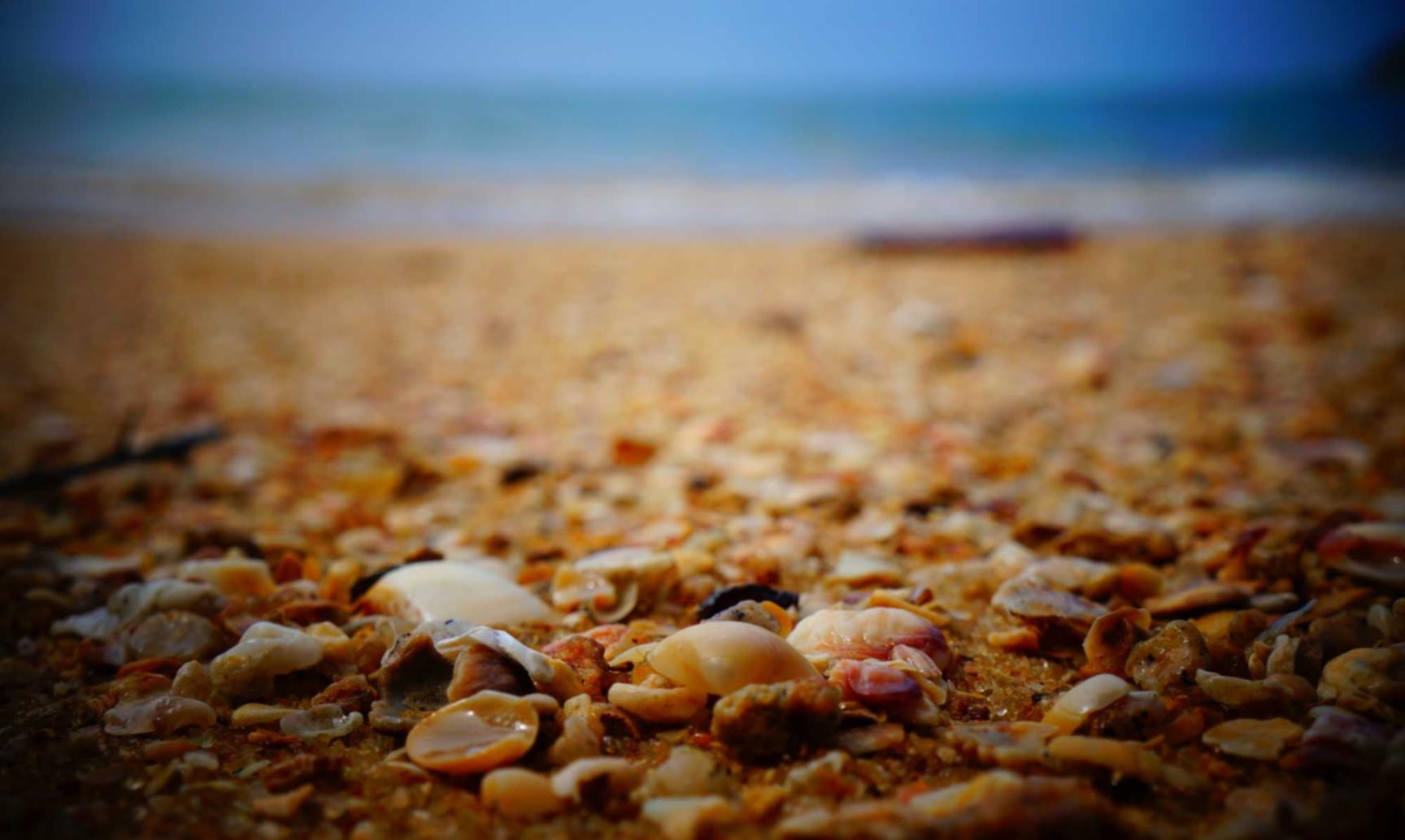 百纵科技实名账号:掌创互联代理平台