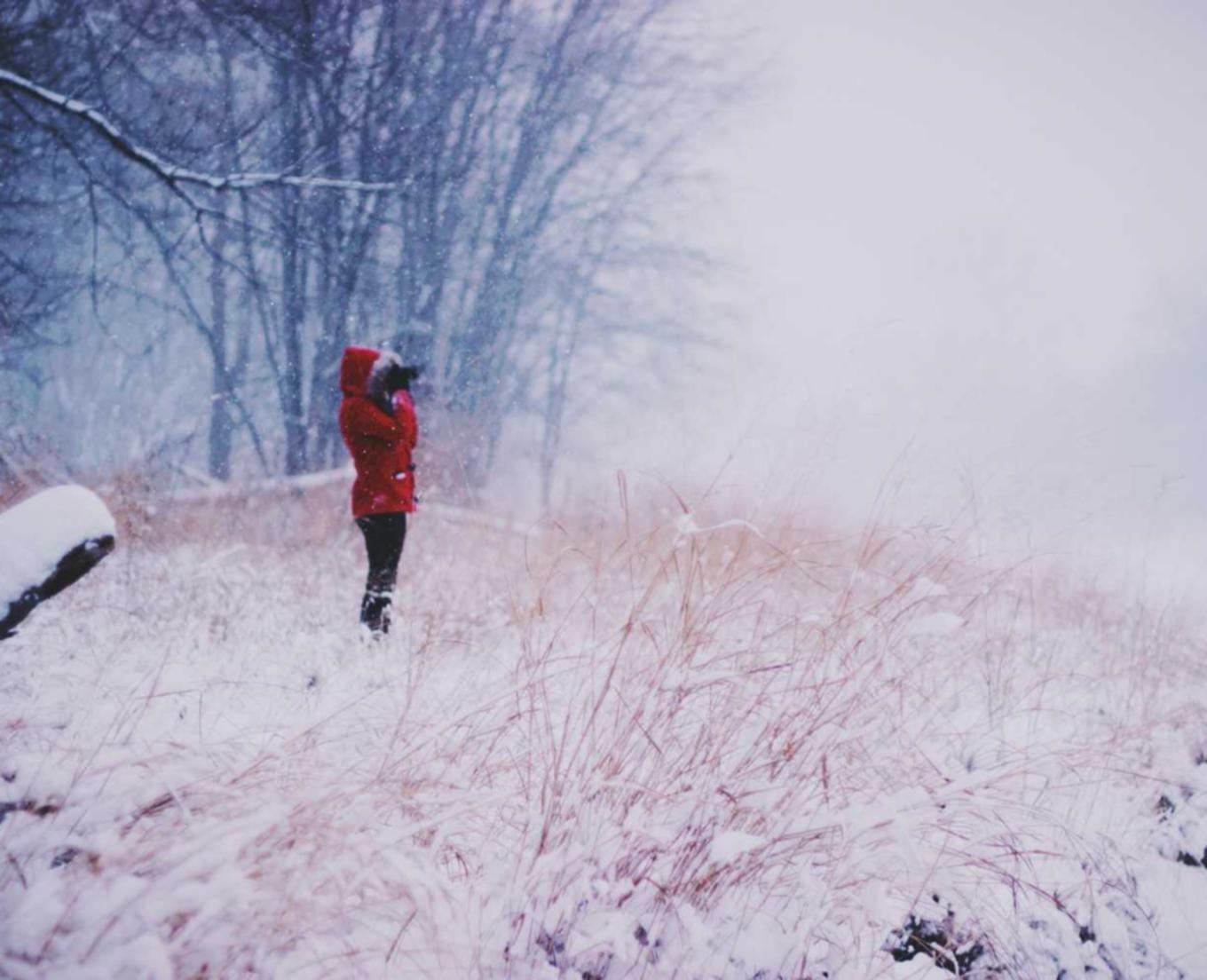 防封电销卡:奇艺平台代理