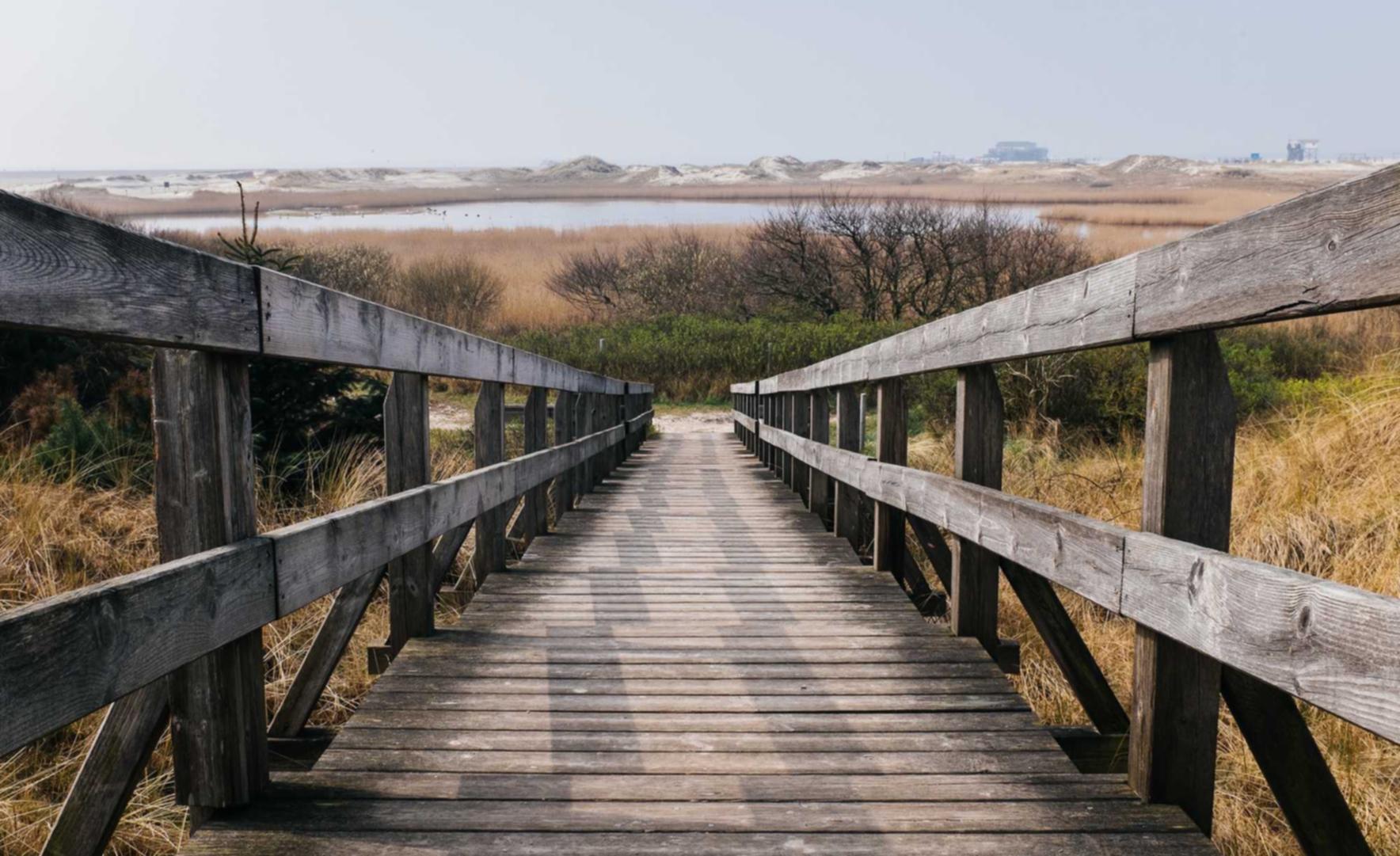 为什么短信营销是现代营销的重要组成部分