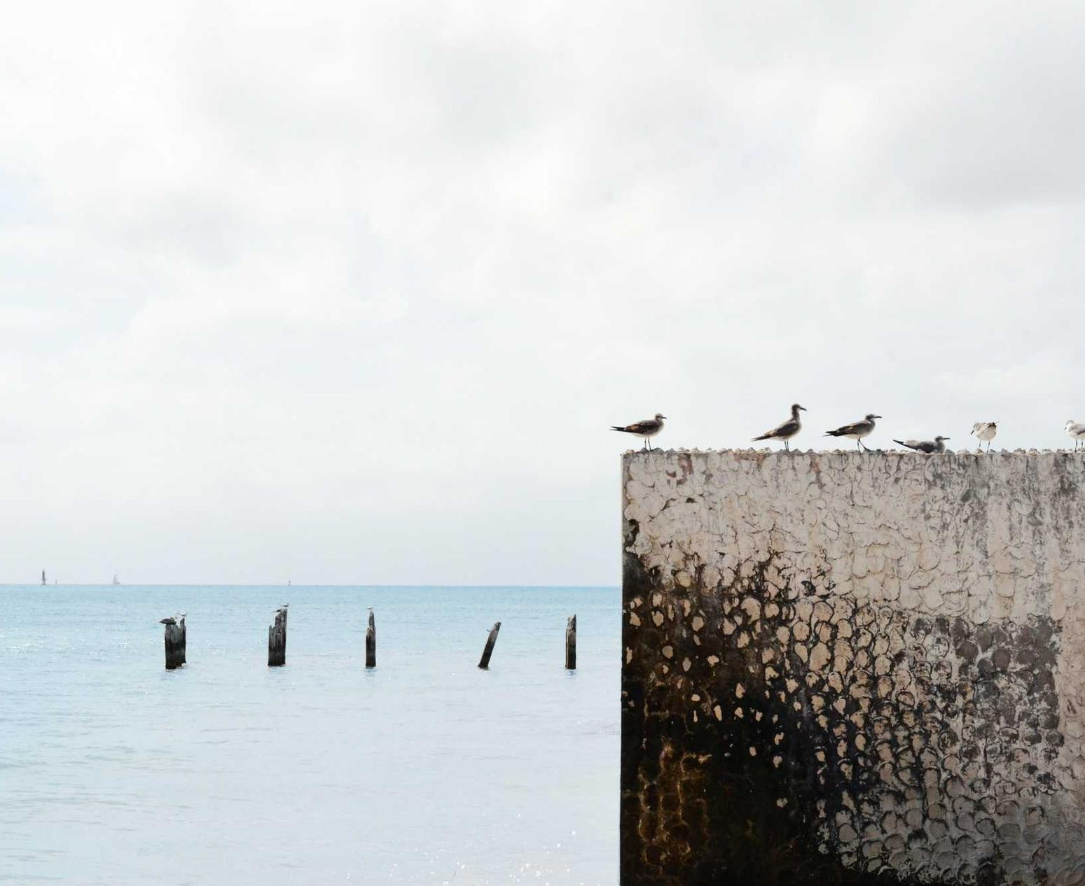 乐鱼体育,注册|国际黄金开户平台有那些