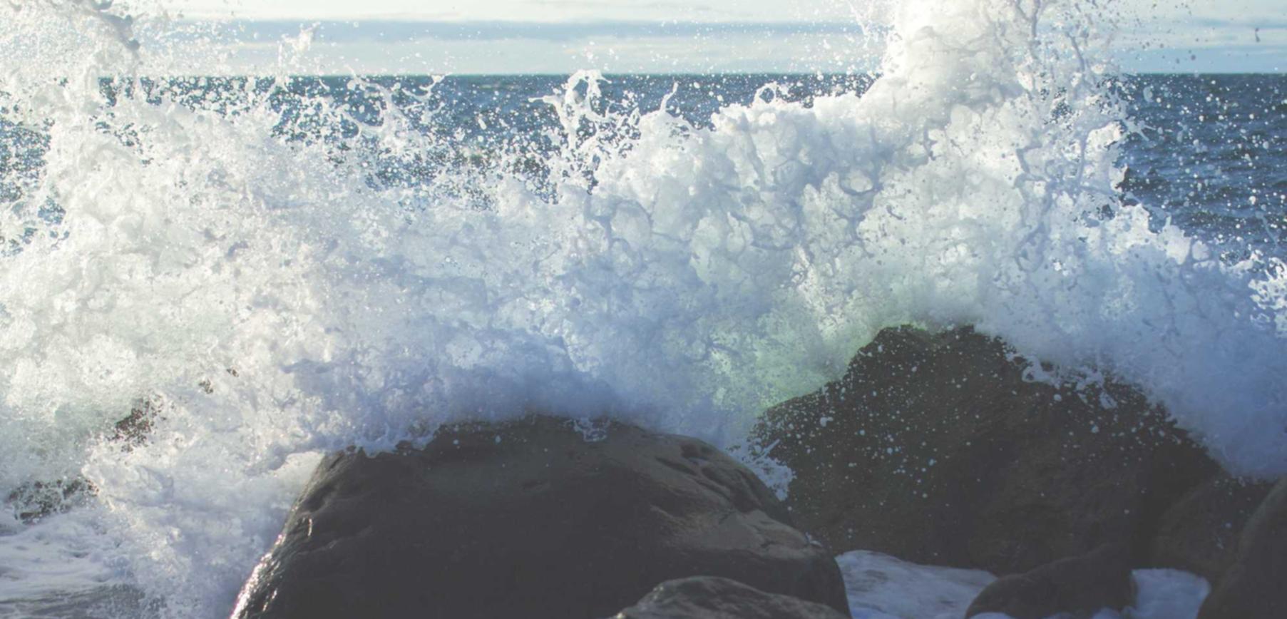 中免555柠檬双爆珠:青春派代理平台