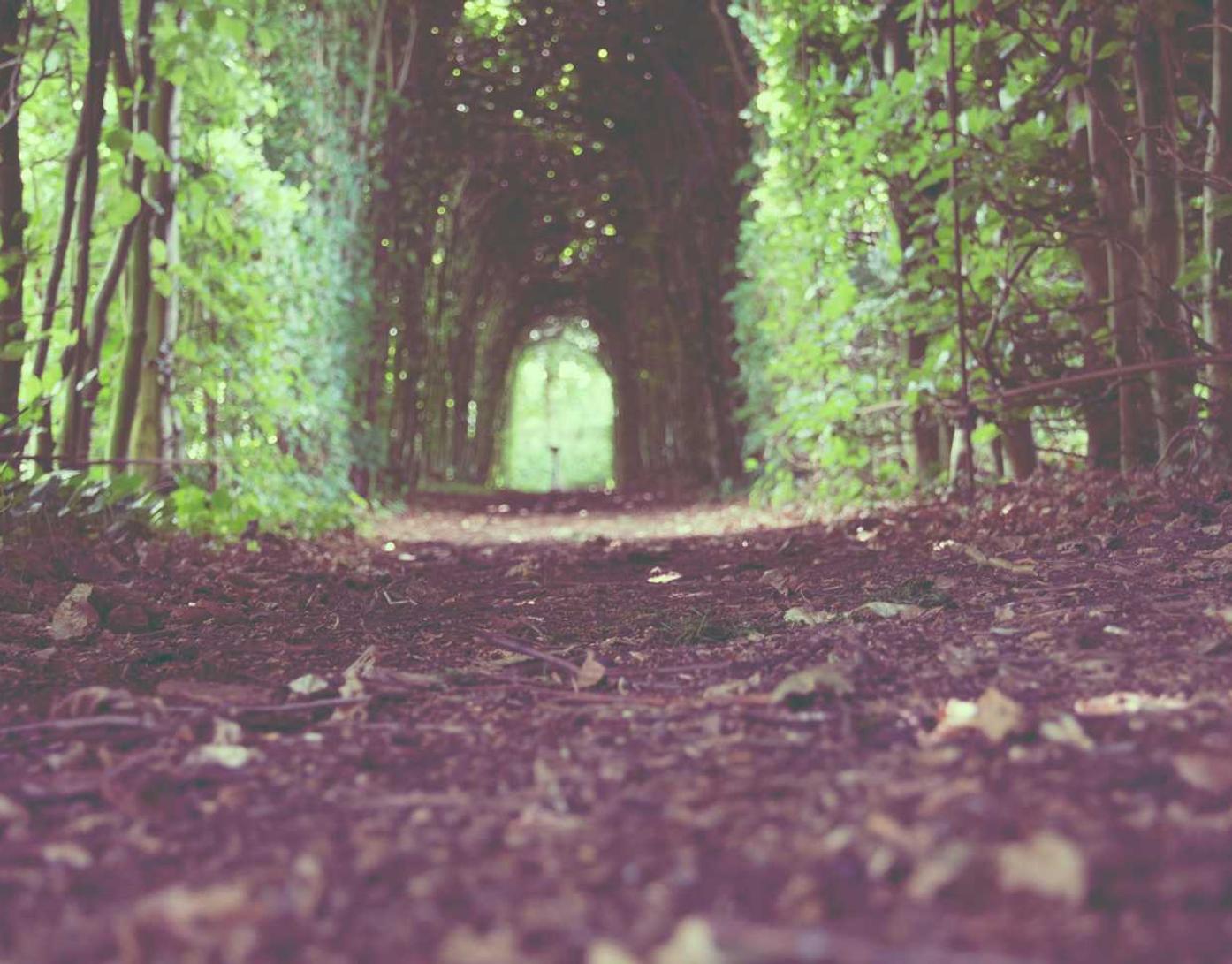 万达娱乐,注册|如何制定服务质量标准,提升客户满意度