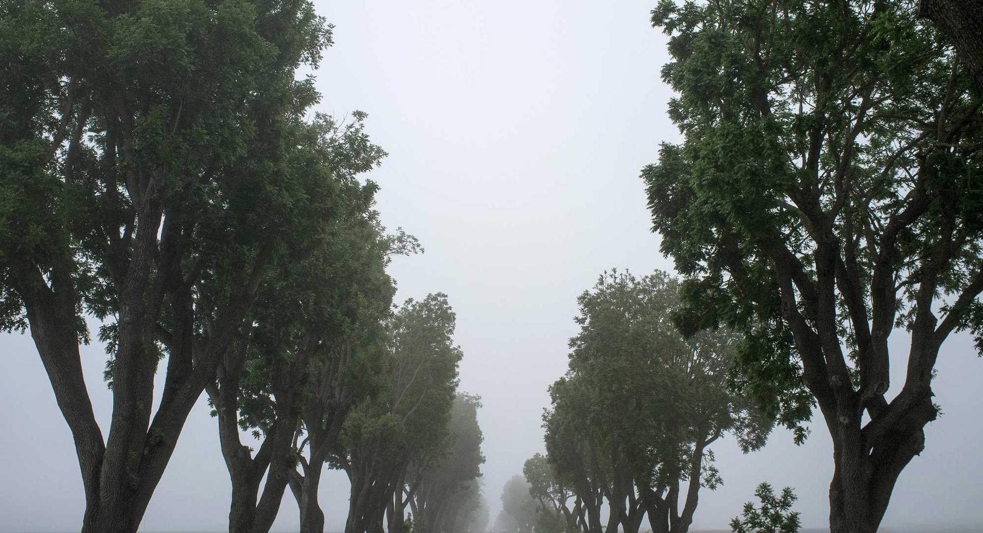 ucloud实名账号:诉讼代理咨询平台