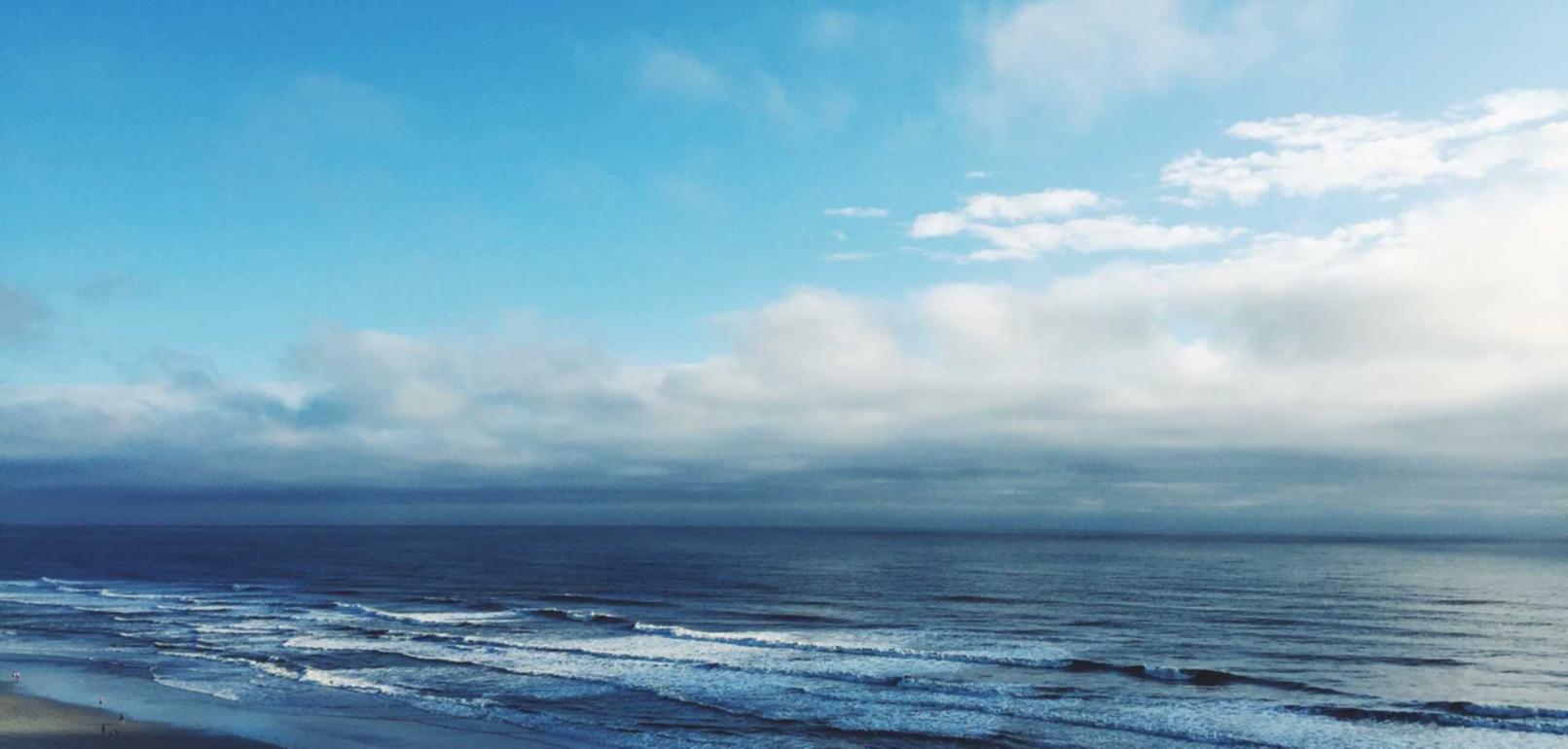 西部数码实名账号:长春市社保账号开户流程