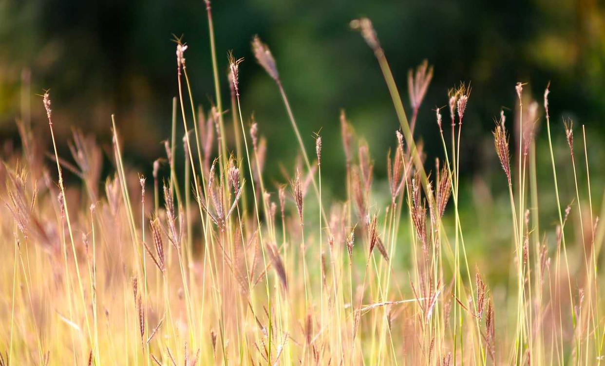 稳定的双语服务团队上家：贴吧号购买平台