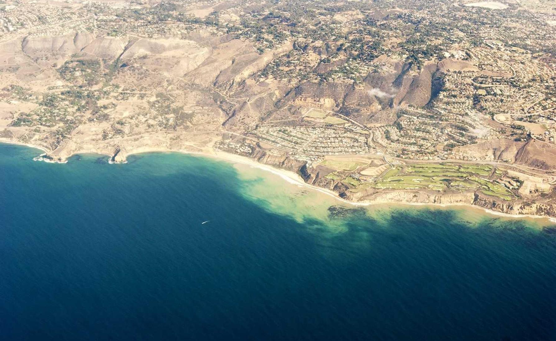 喜大浦奔app详情下载教程